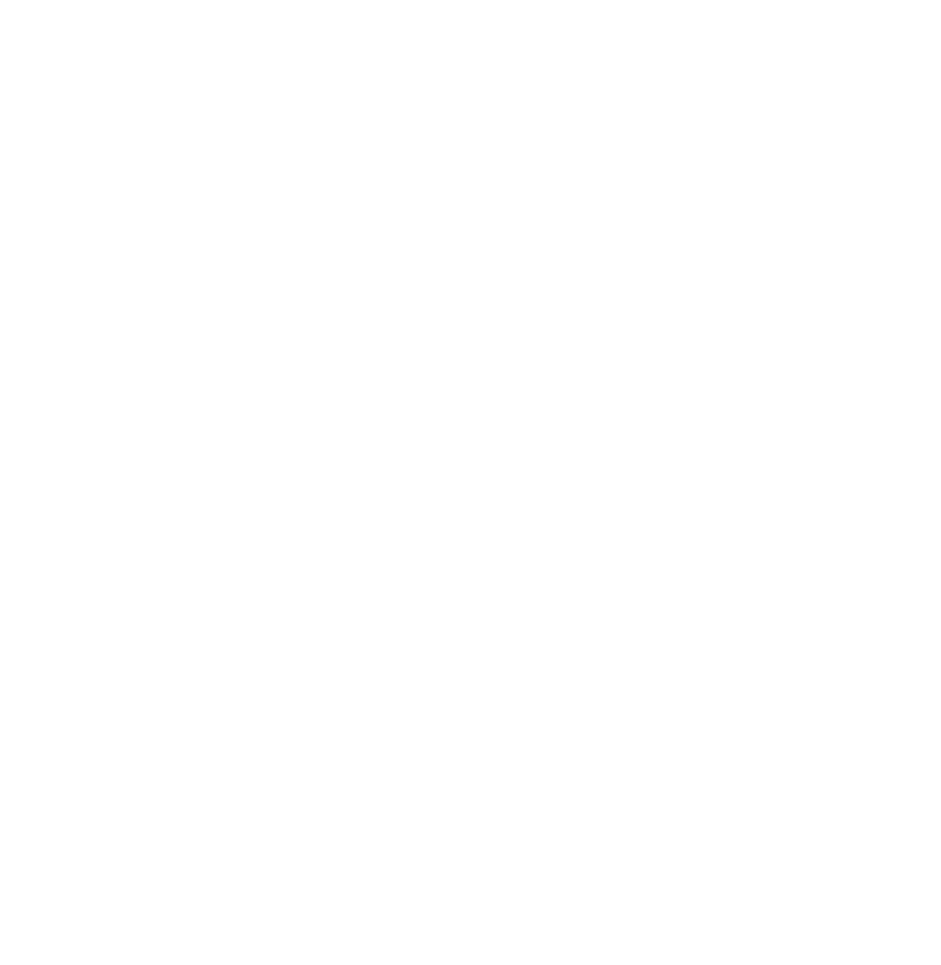 Echo